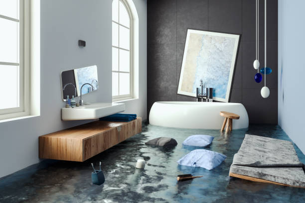 Best Mold removal after water damage  in Leonard, TX