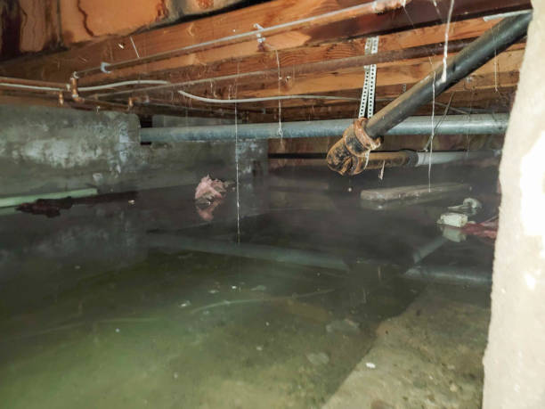 Best Flooded house restoration  in Leonard, TX