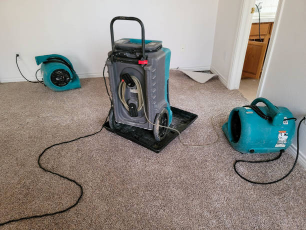 Best Water damage contractors near me  in Leonard, TX