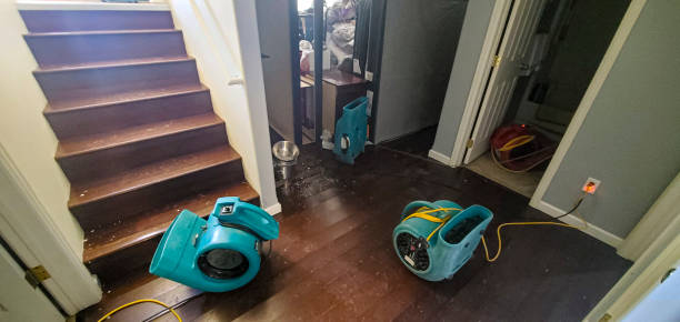 Water damage restoration experts in Leonard, TX