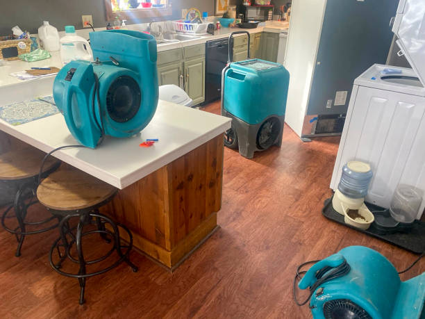Best Water damage repair service  in Leonard, TX