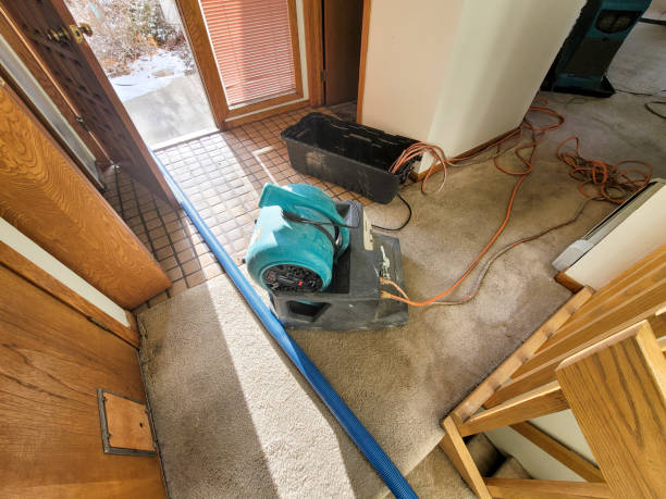 Best Basement water damage restoration  in Leonard, TX