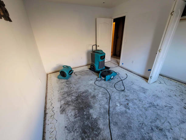 Local water damage restoration in Leonard, TX