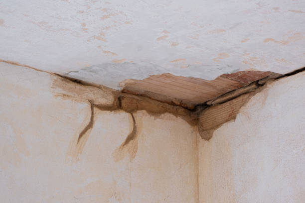 Best 24-hour water damage restoration  in Leonard, TX