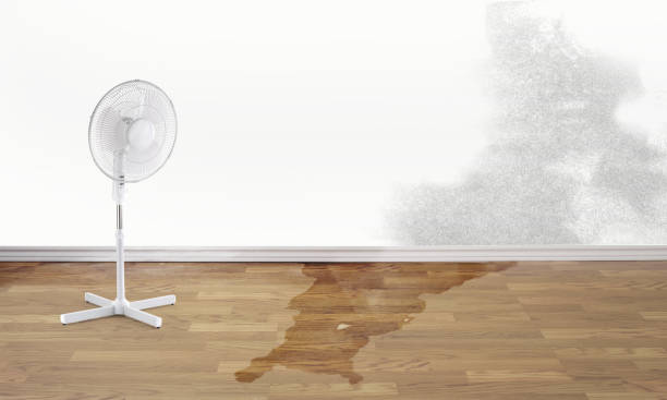 Best Residential water damage restoration  in Leonard, TX