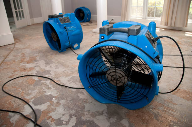 Sewage cleanup and water damage restoration in Leonard, TX