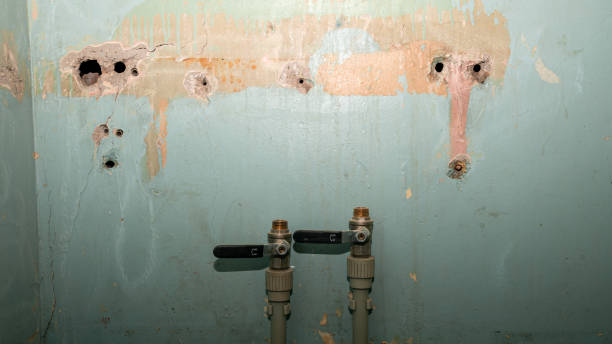 Best Water damage cleanup near me  in Leonard, TX