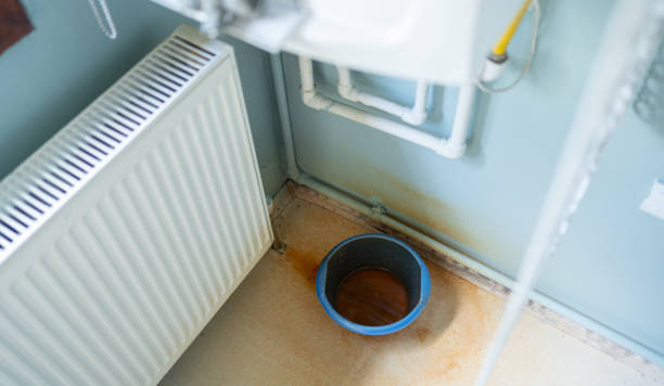 Best Mold removal after water damage  in Leonard, TX