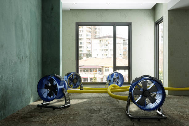 Best Water damage restoration company  in Leonard, TX