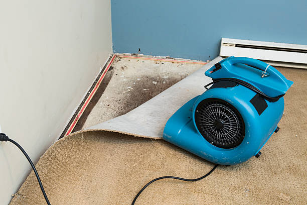 Best Water damage restoration near me  in Leonard, TX